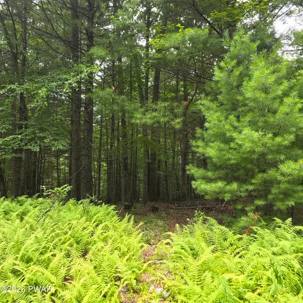 winfield Lot 4 Winfield Road, Rowland, PA 18457