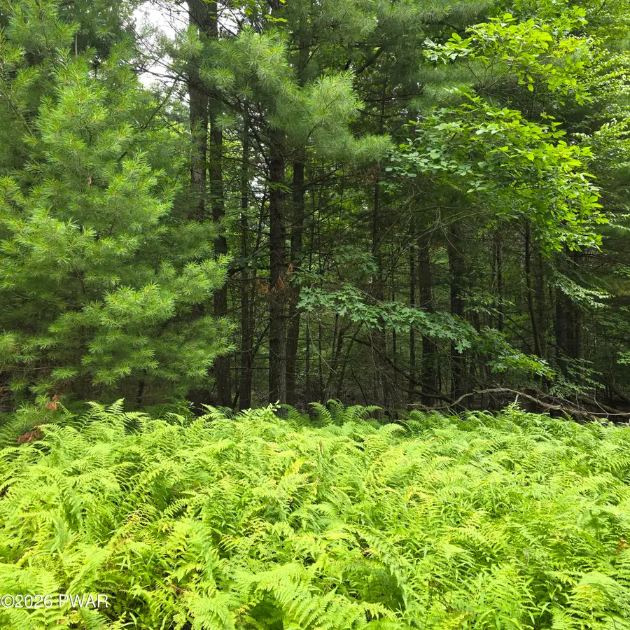 winfield Lot 4 Winfield Road, Lackawaxen, PA 18457 - #2