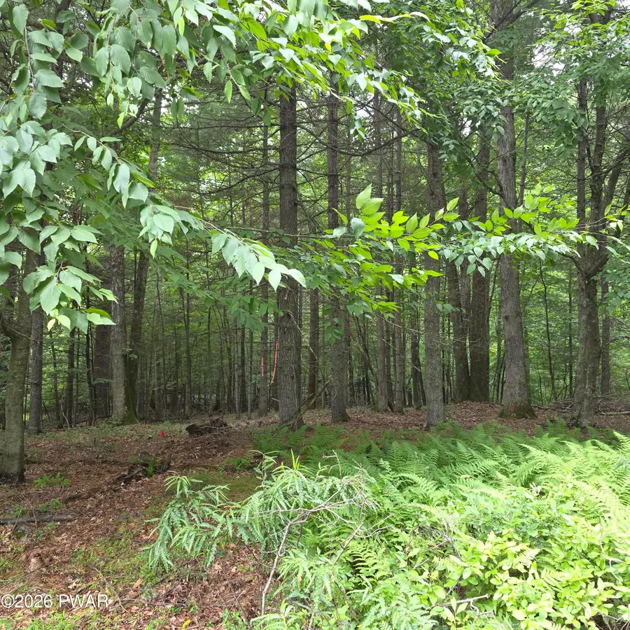 winfield Lot 4 Winfield Road, Lackawaxen, PA 18457 - #3