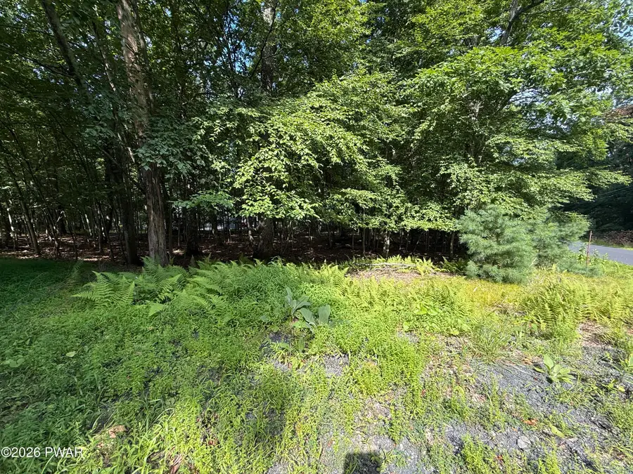 Mountain Top Drive, Dingmans Ferry, PA 18328 - #2