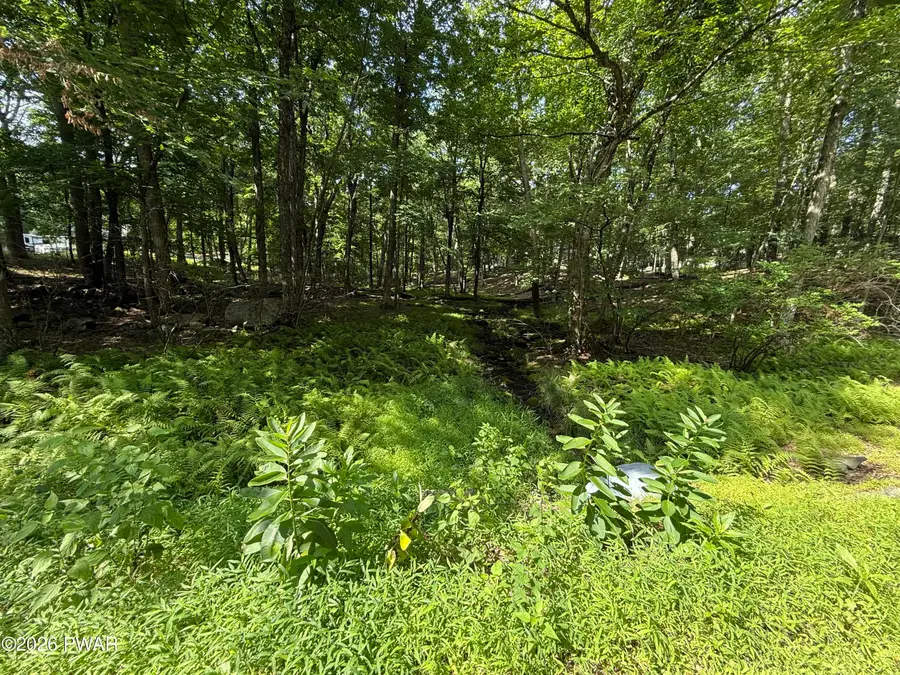 Mountain Top Drive, Dingmans Ferry, PA 18328 - #3