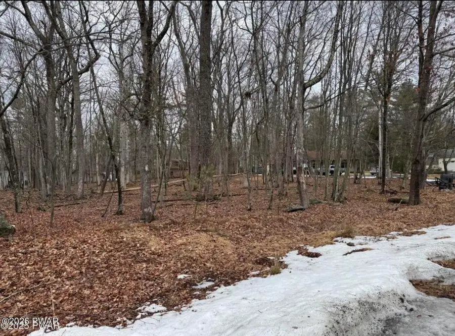 Lot 39 Yvonne Court, Dingmans Ferry, PA 18328 - #2