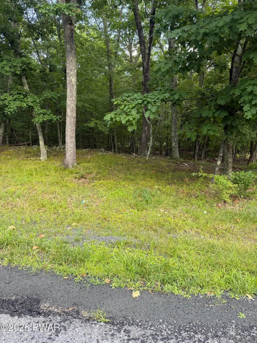 Lot 185 Gold Finch Road, Pocono Ranch Lands, PA 18328 - #3