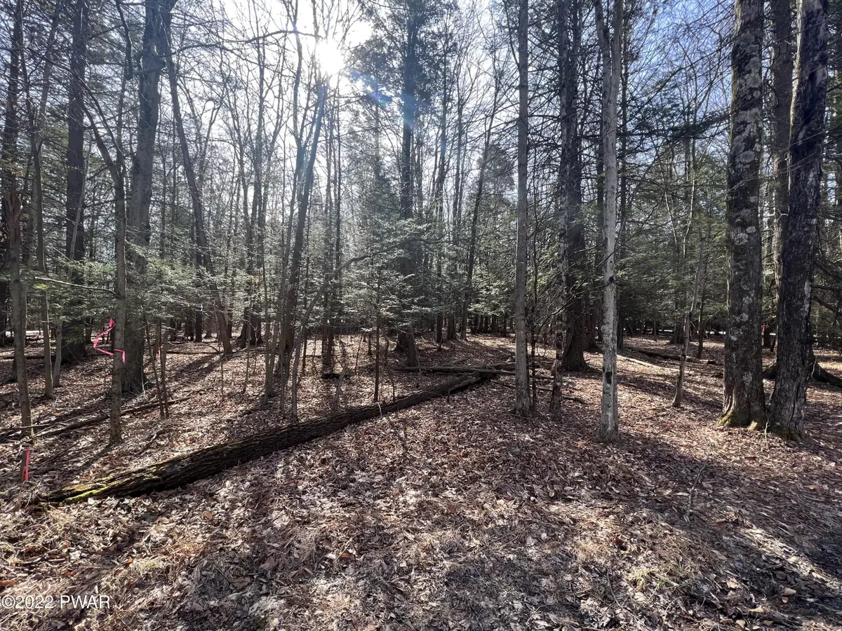 209 & 210 Polaris Way, Lake Ariel, PA 18436 - #1