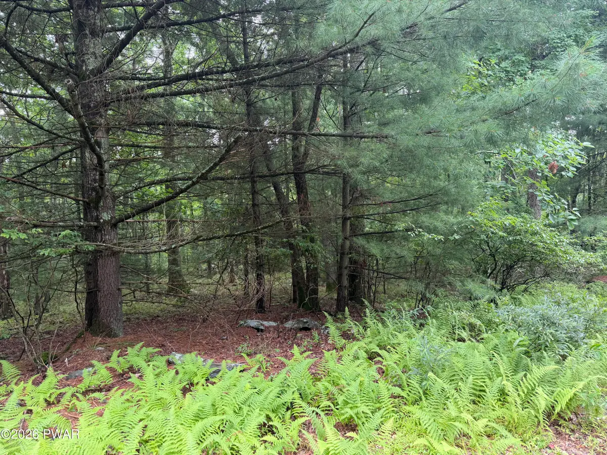 Lakewood Drive, Milford, PA 18337 - #1