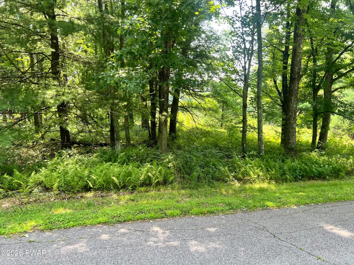 117 Buckboard Lane, Lords Valley, PA 18428 - #1