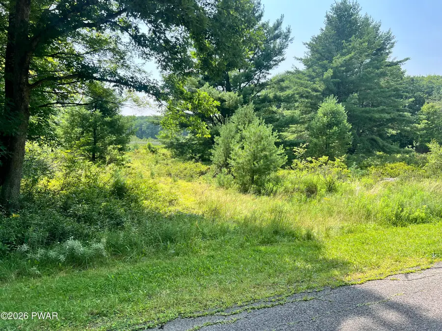 117 Buckboard Lane, Lords Valley, PA 18428 - #2