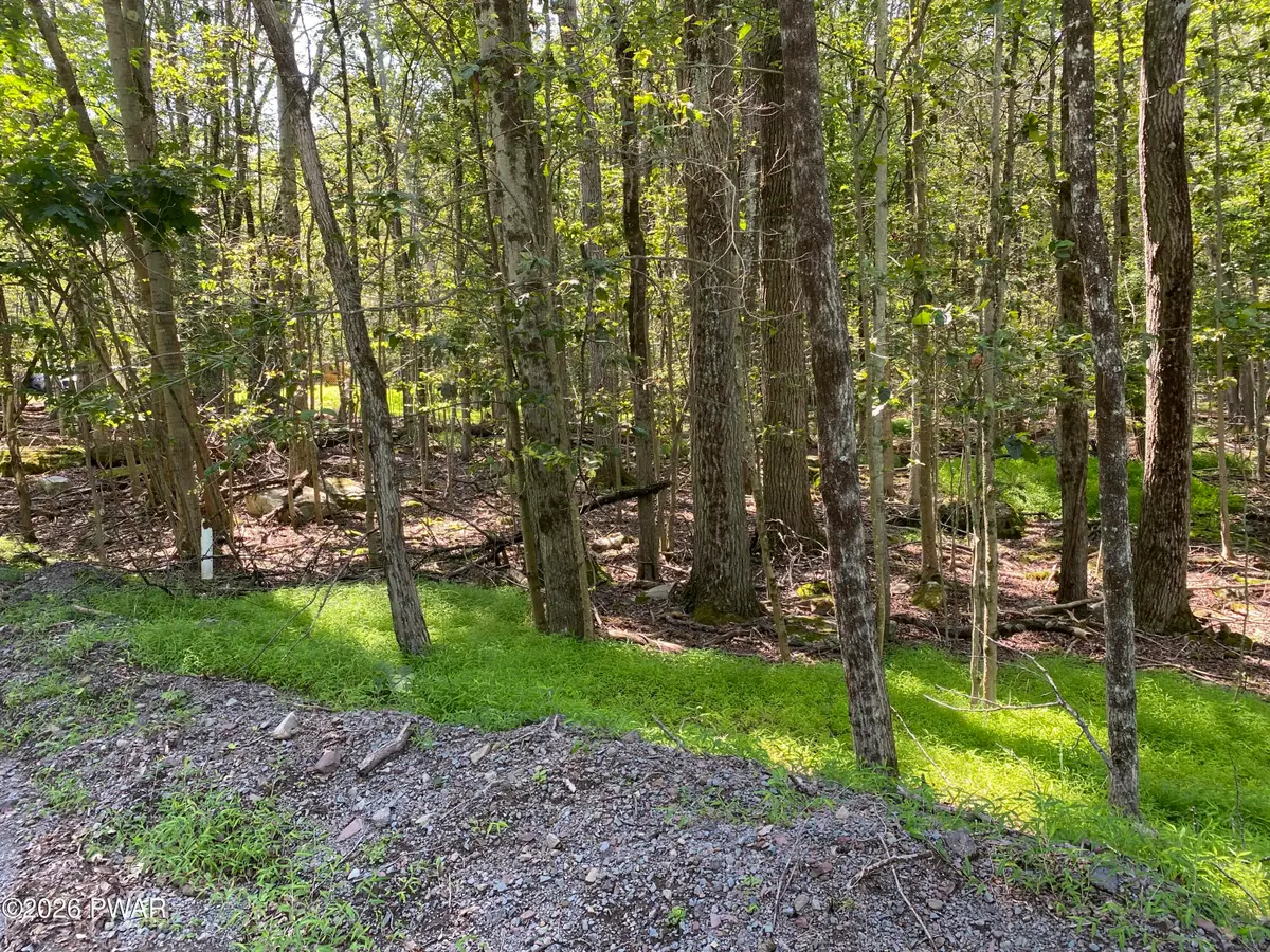 406 Windsor Road, Hawley, PA 18428 - #1