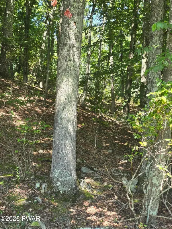lot 3 Renee Drive, Dingmans Ferry, PA 18328