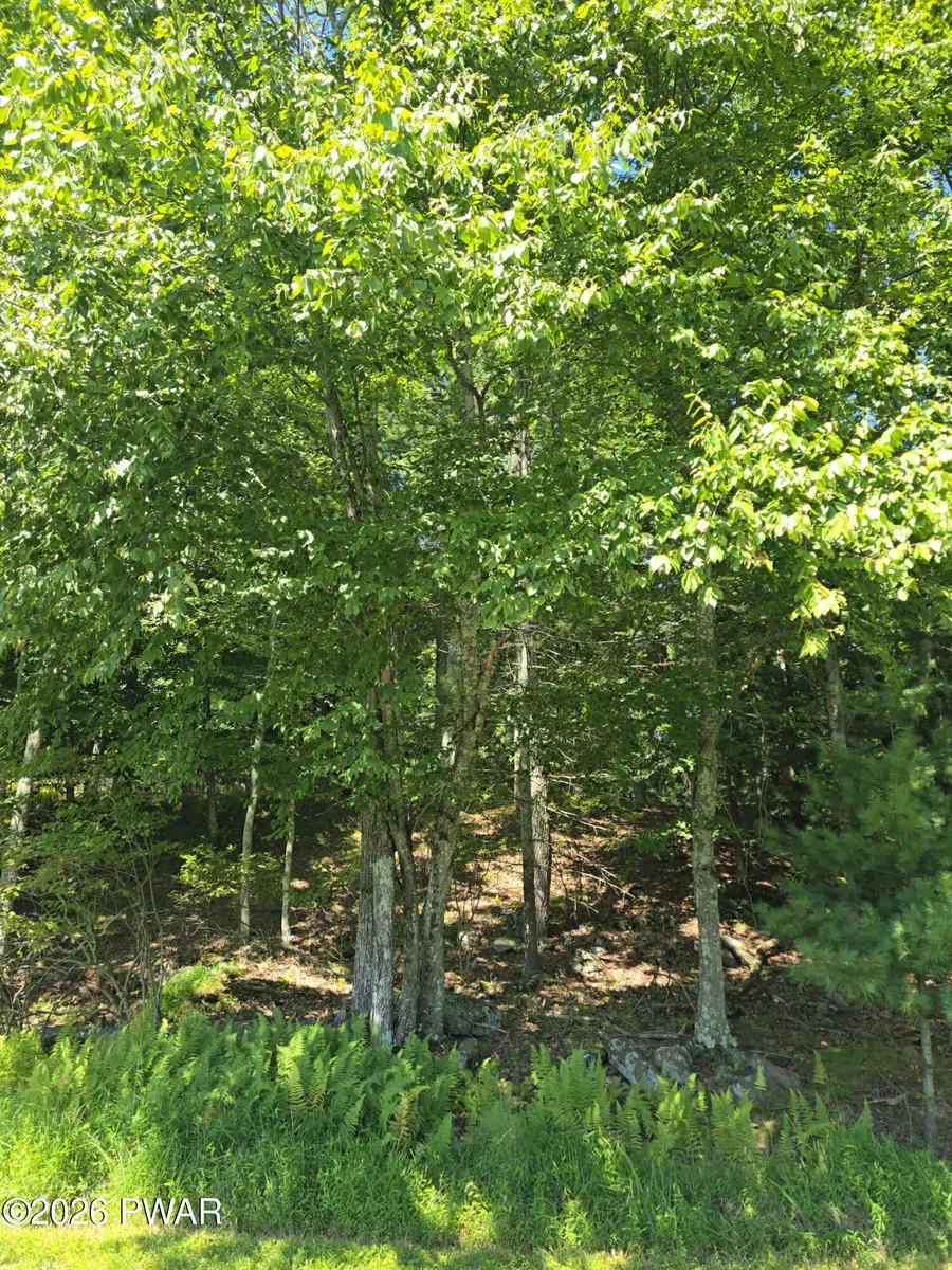 lot 3 Renee Drive, Dingmans Ferry, PA 18328 - #2