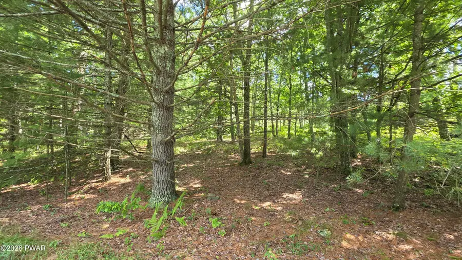 Lot 542 Weasel Road, Dingmans Ferry, PA 18328 - #2