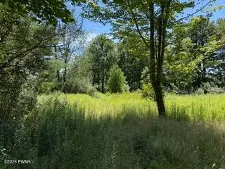 Kellows Road, Honesdale, PA 18431 - #2