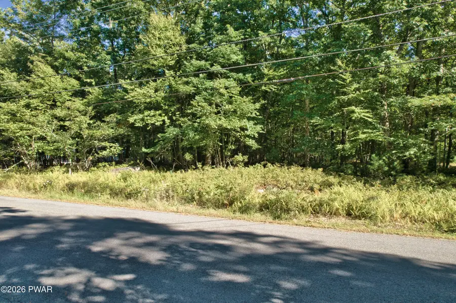 244 Water Forest Drive, Dingmans Ferry, PA 18328 - #2