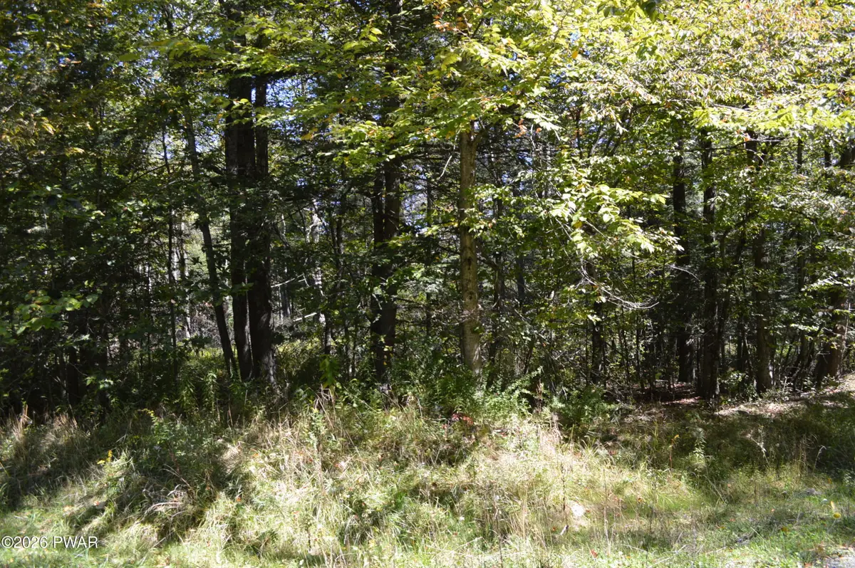 Lot 109 Snow Drift Road, Newfoundland, PA 18445 - #1