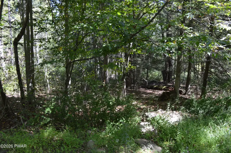 Lot 109 Snow Drift Road, Newfoundland, PA 18445 - #2