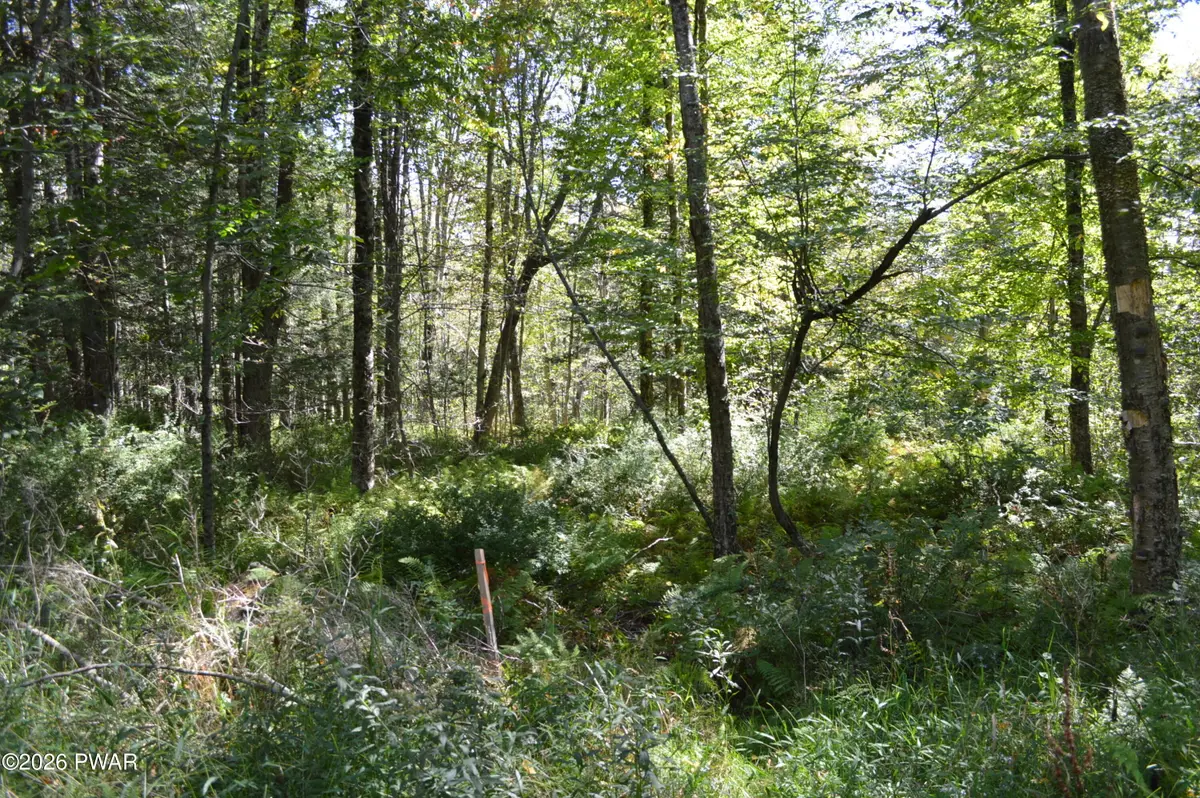 Lot 112 Snow Drift Road, Newfoundland, PA 18445 - #1
