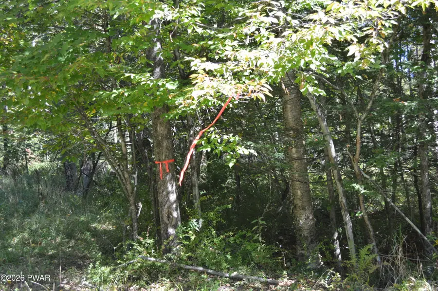 Lot 110 Snow Drift Road, Newfoundland, PA 18445 - #3