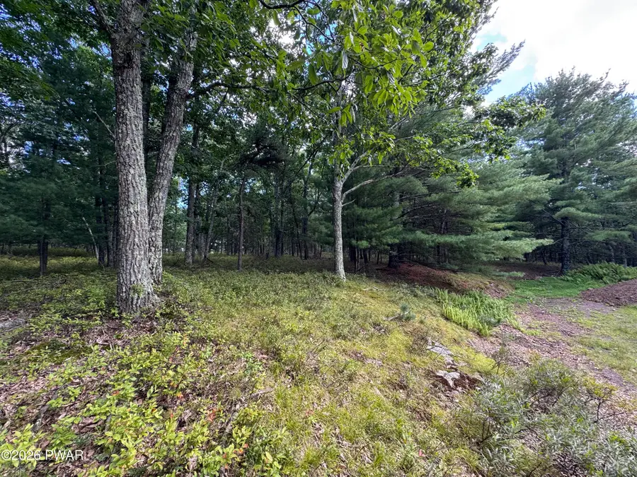 LOT 45&46 Maplewood Court, Hawley, PA 18428 - #3