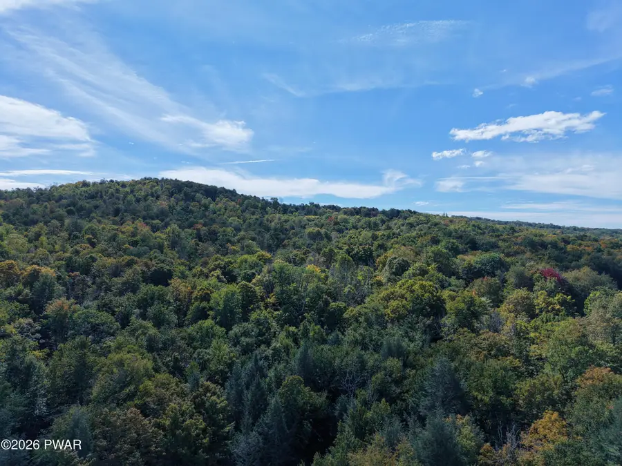 TBD Fairmount Road Road, Starrucca, PA 18462 - #3