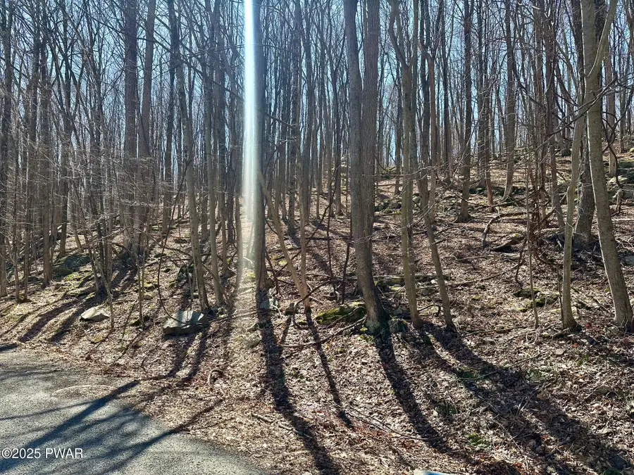 Lot 144 Sheridan Road, Hawley, PA 18428 - #2