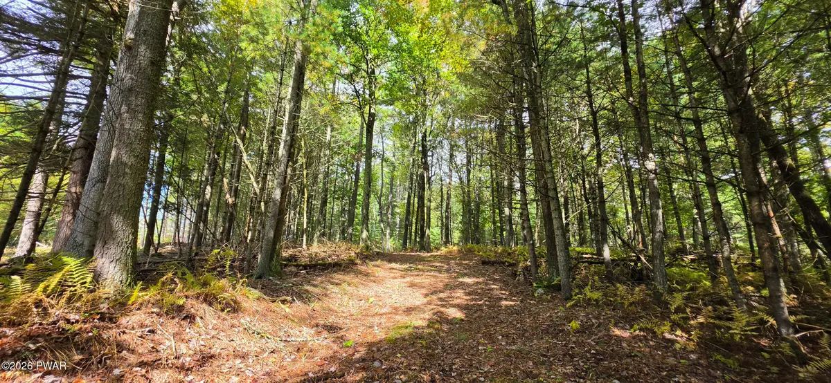 Lot 6.17 State Route 97, Tusten, NY 12764 - #1