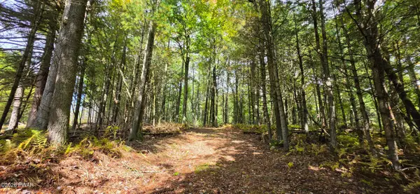 Lot 6.17 State Route 97, Narrowsburg, NY, NY 12764