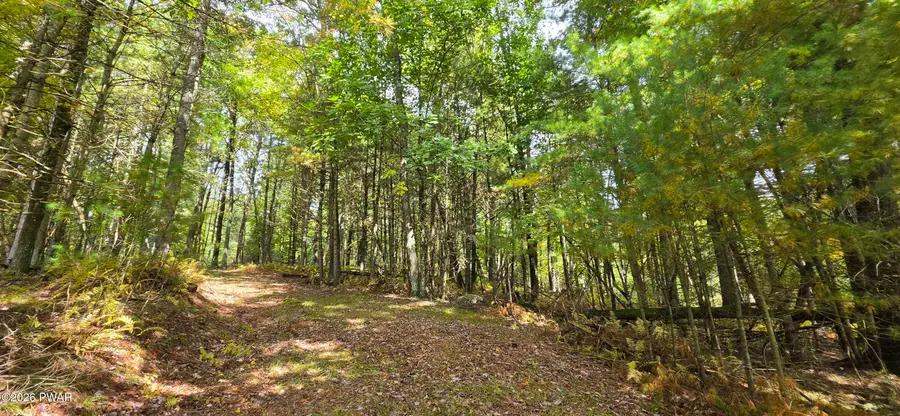 Lot 6.17 State Route 97, Tusten, NY 12764 - #3