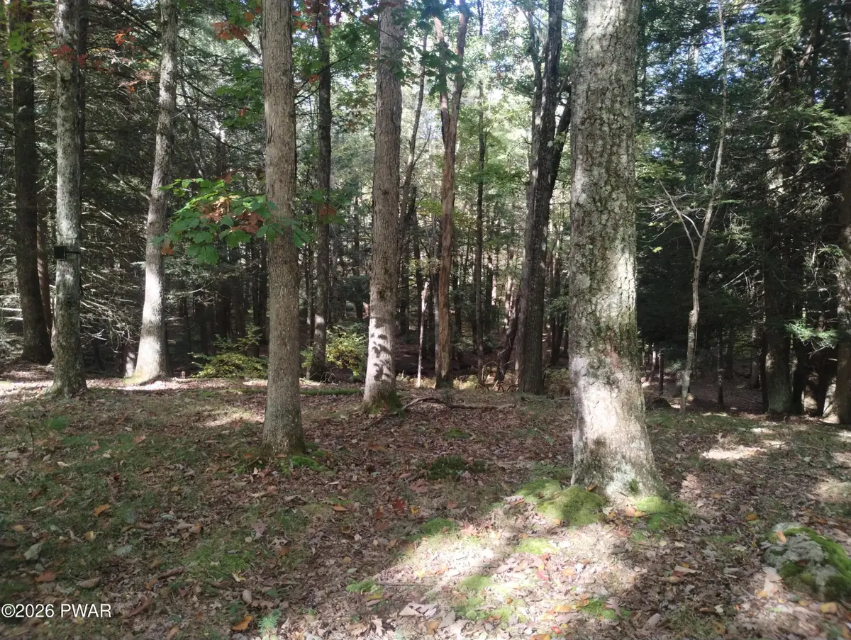 131 Water View Drive, Hawley, PA 18428 - #1