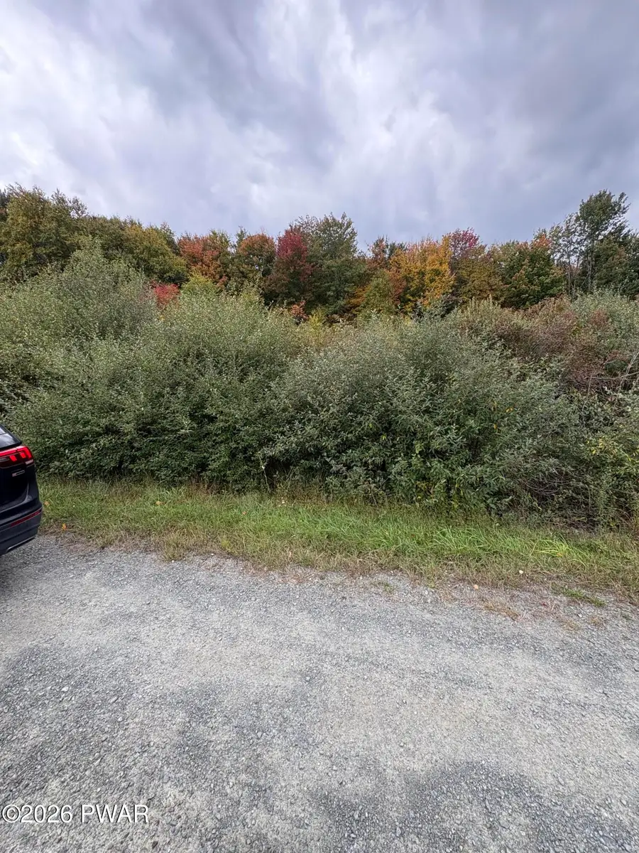 29 Panther Hill Circle, Newfoundland, PA 18445 - #2