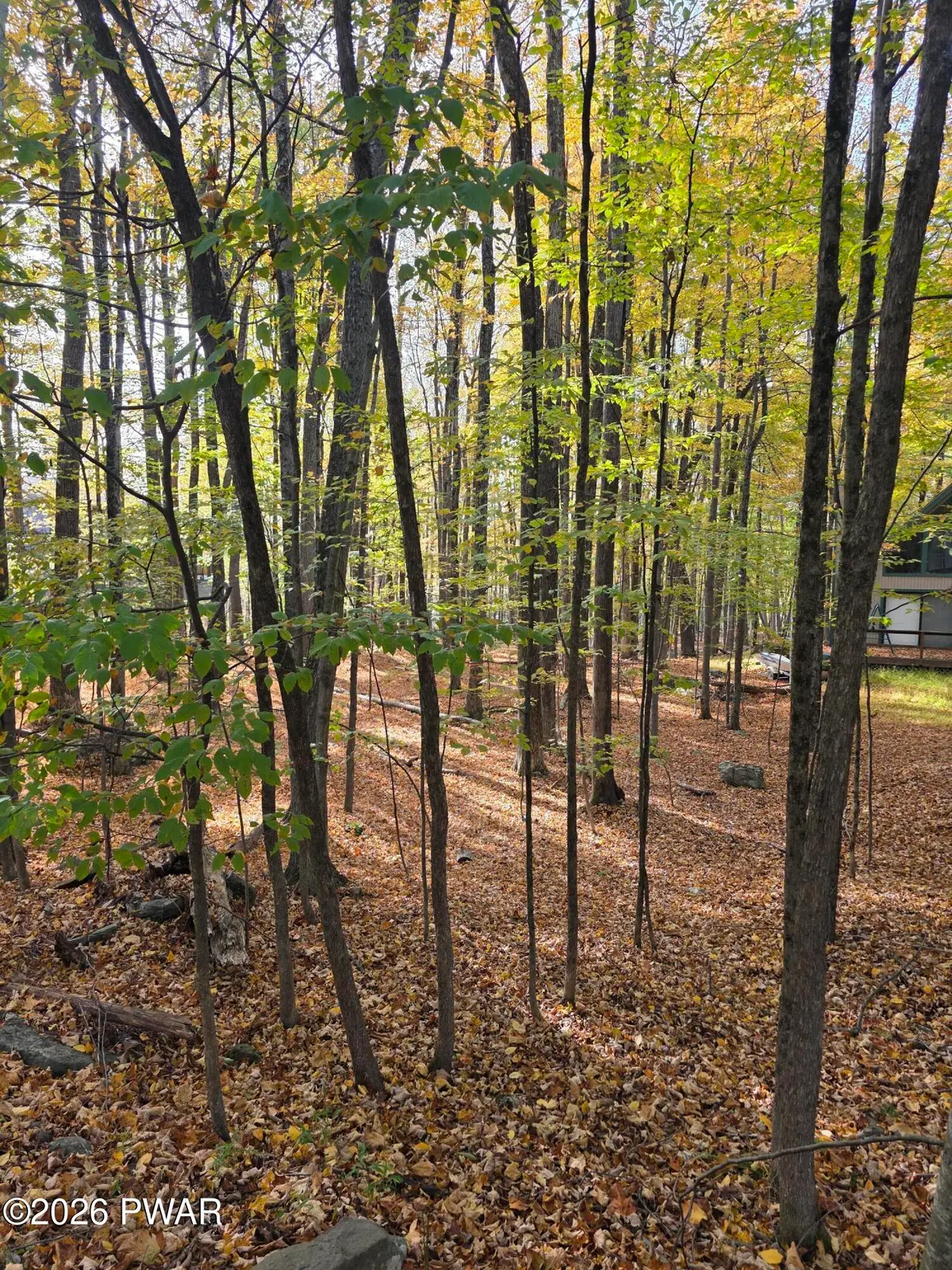 260 Chestnuthill Drive, Lake Ariel, PA 18436 - #1