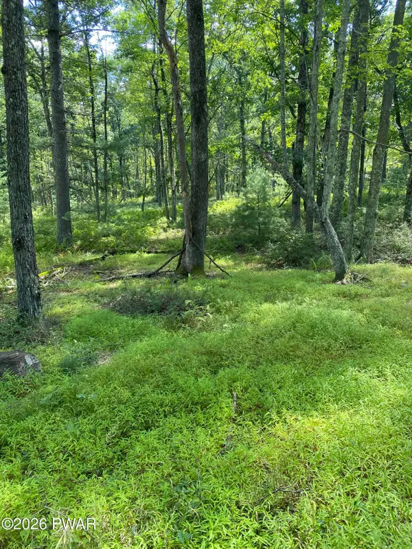Lot 12B Woodlyn Acres Road, Hawley, PA 18428