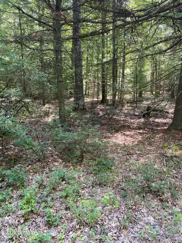 Lot 35 Cricket Hill Road, Hawley, PA 18428