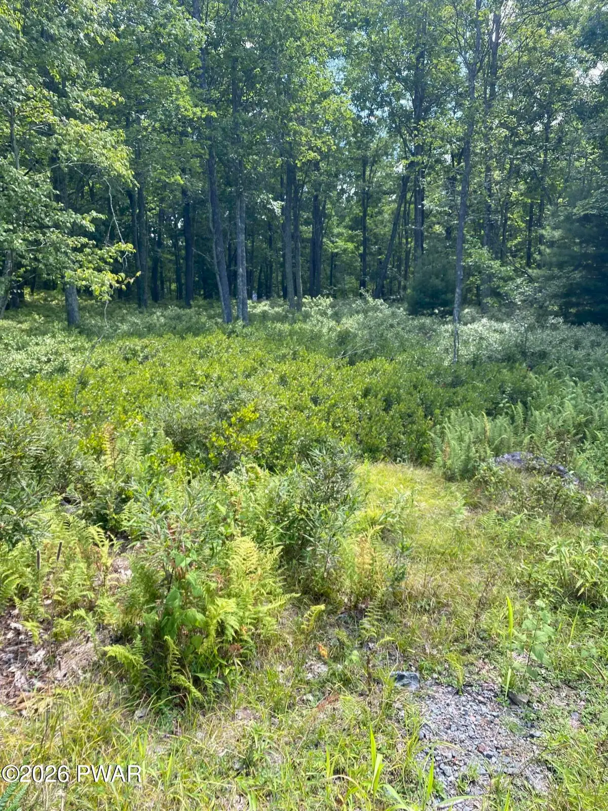Lot 38B Woodlyn Acres Road, Hawley, PA 18428 - #1
