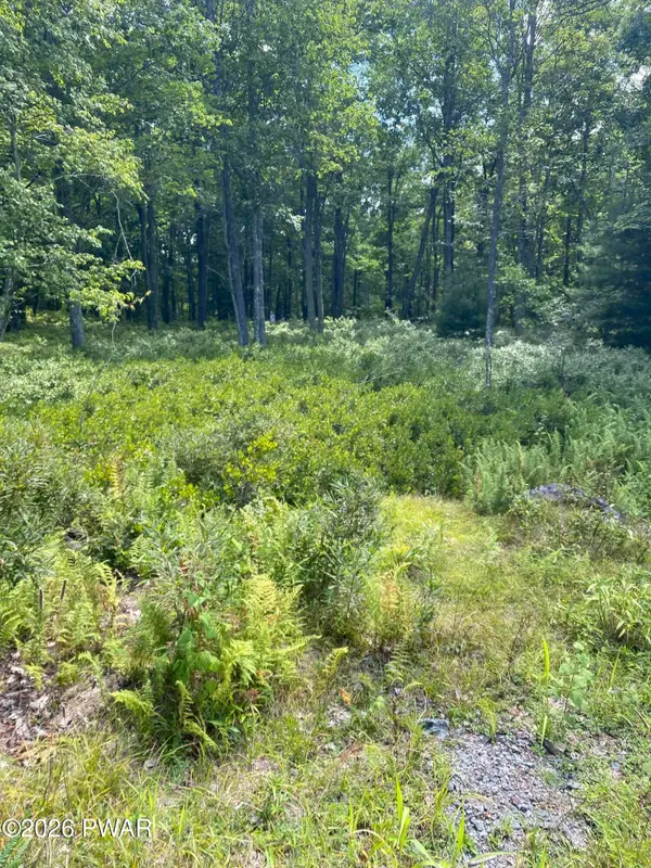 Lot 38B Woodlyn Acres Road, Hawley, PA 18428