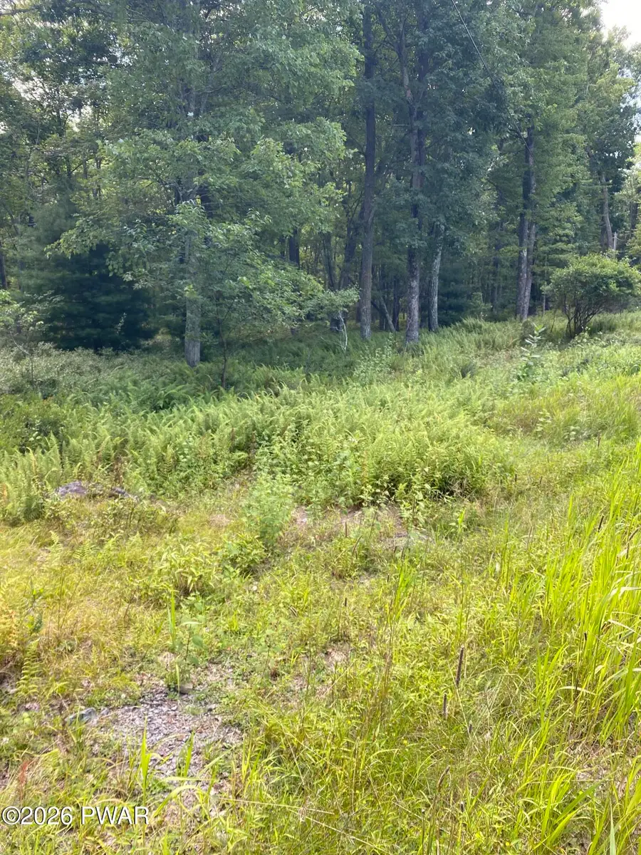 Lot 38B Woodlyn Acres Road, Hawley, PA 18428 - #2