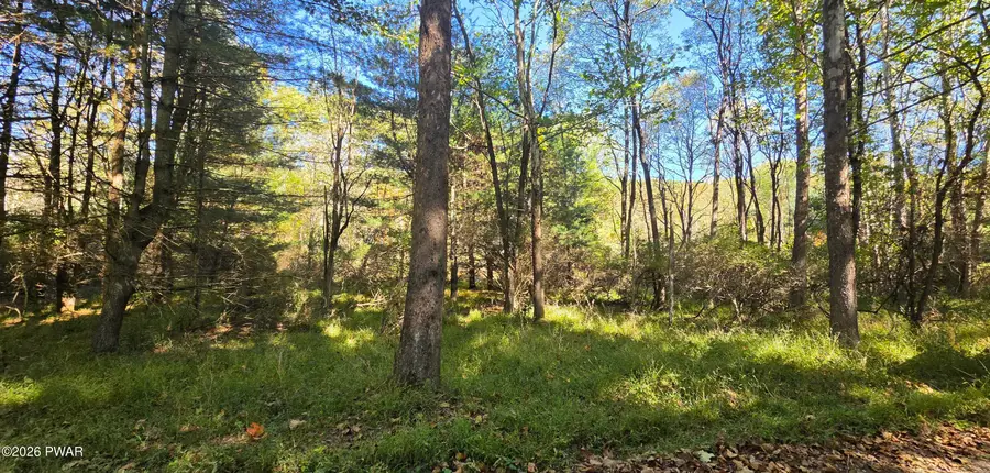 Lot 4 Field Bend Lock Road, Lackawaxen, PA 18435 - #3