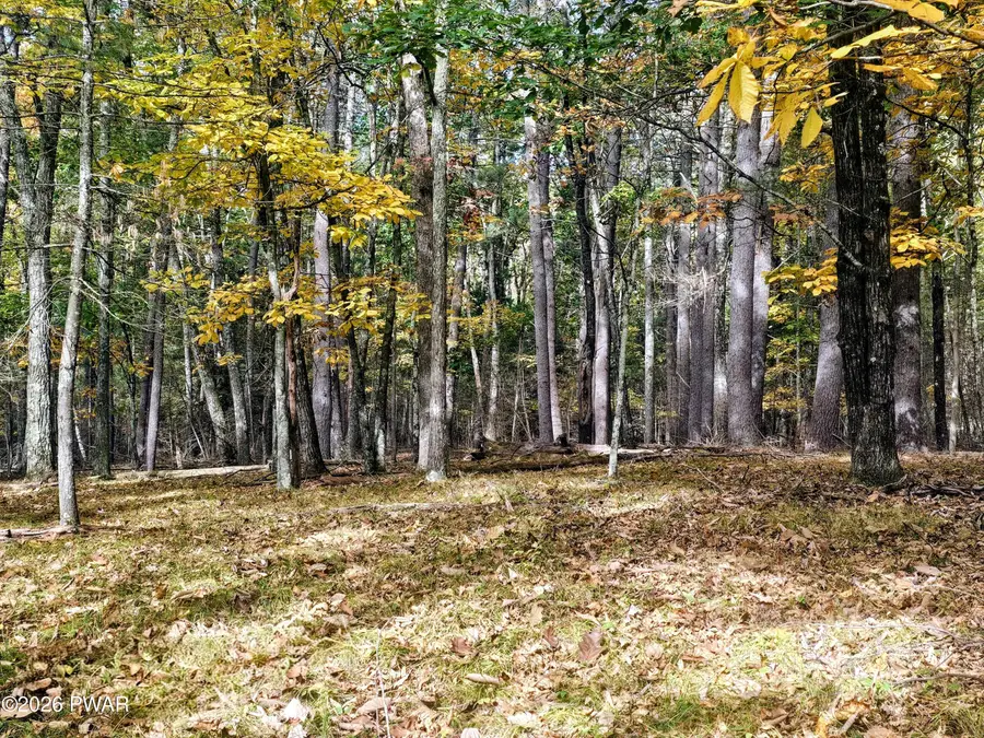 Lot 440R Autumn Ct, Hawley, PA 18428 - #2