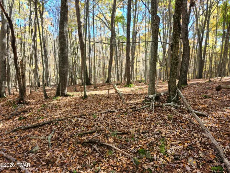 Sun Valley Drive, Tafton, PA 18464 - #2