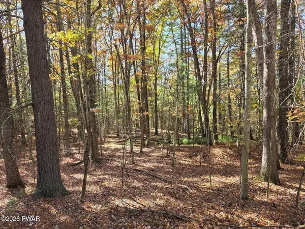 LOT 392 Creek Court, Hawley, PA 18428