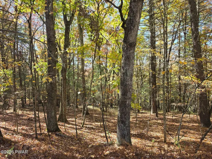 LOT 392 Creek Court, Hawley, PA 18428 - #2