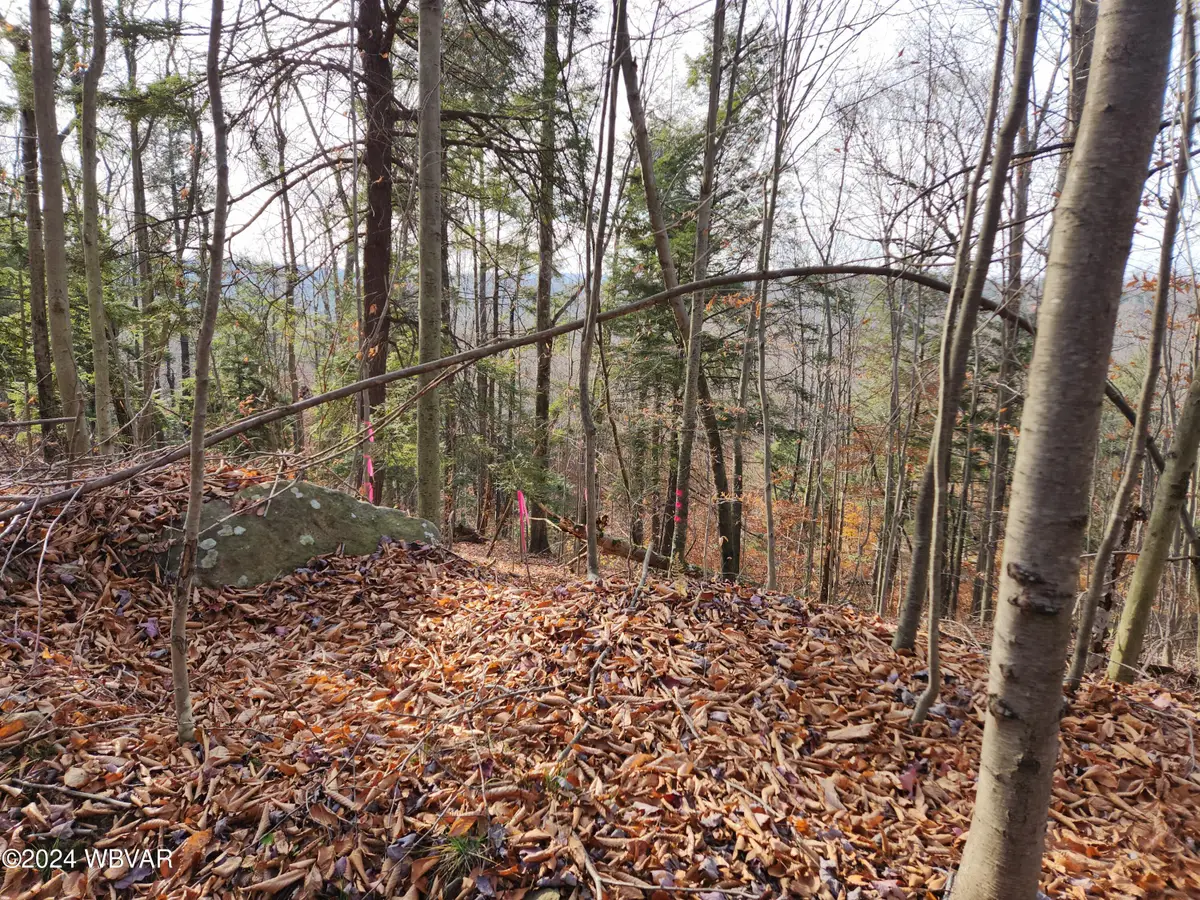 Pole Bridge Road #LOT 38, Laporte, PA 18626 - Image #1