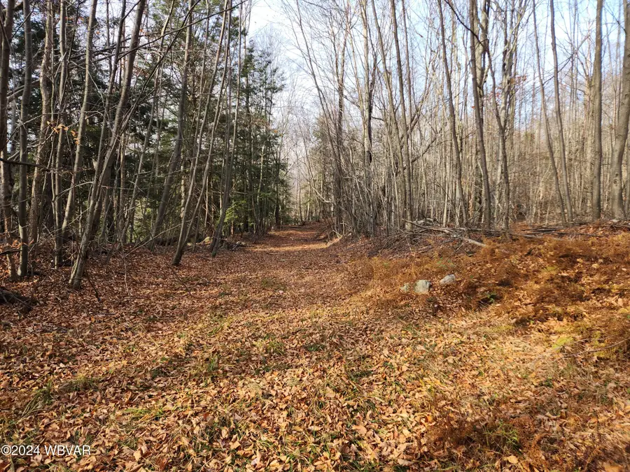 Pole Bridge Road #LOT 38, Laporte, PA 18626 - Image #2