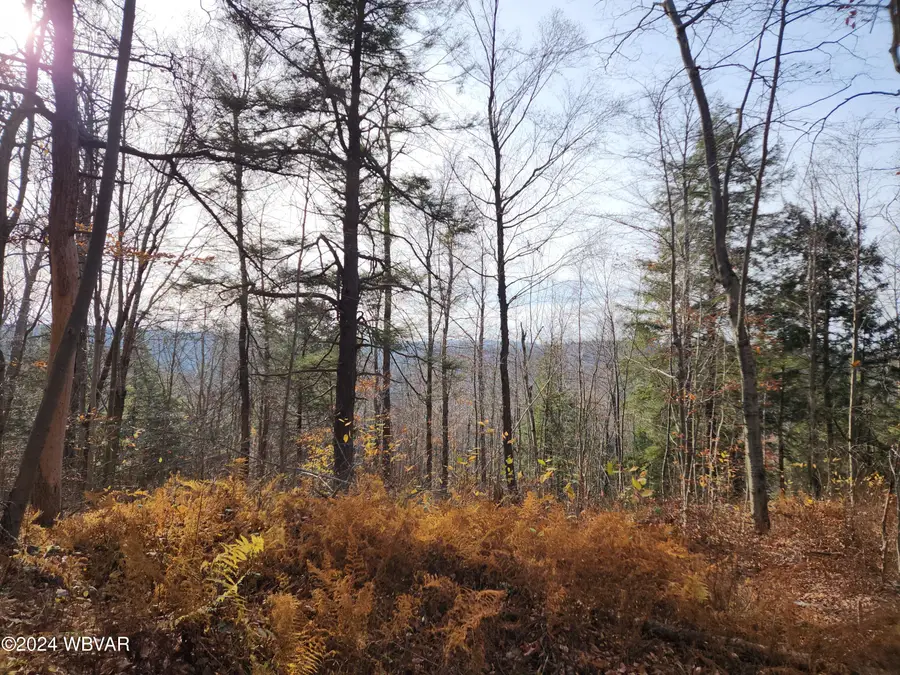 Pole Bridge Road #LOT 38, Laporte, PA 18626 - Image #3