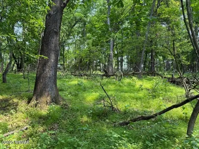 105 Selkirk Road, Williamsport, PA 17701 - Image #3