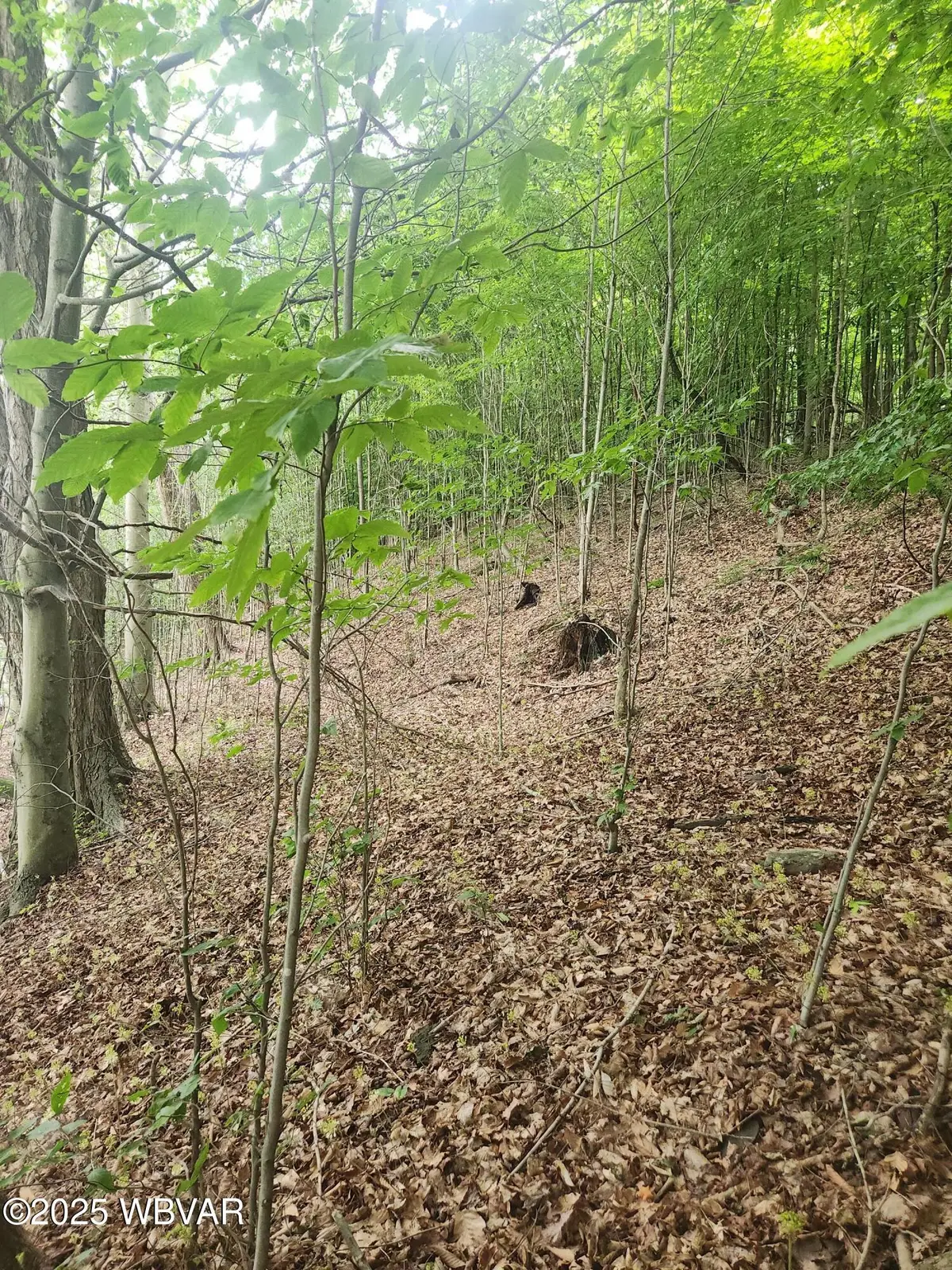 PARCEL 001 N Rt 220 Highway, Dushore, PA 18614 - Image #1