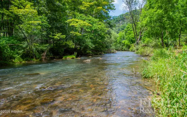 PARCEL 113 Route 44 Highway, Jersey Shore, PA 17740