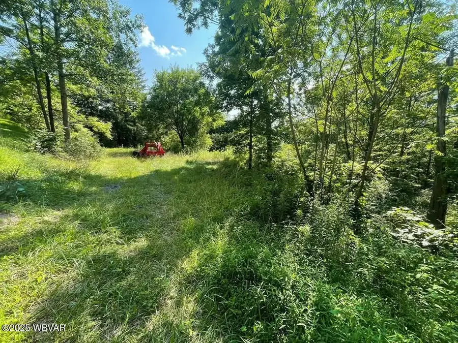 PARCEL 0047 Berry Road, Beech Creek, PA 16822 - Image #2