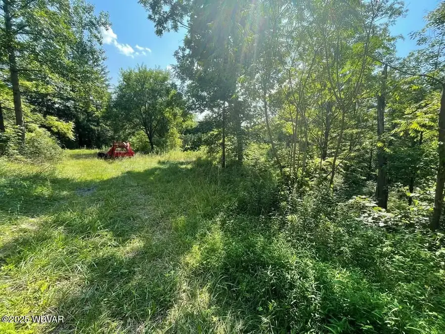 PARCEL 0047 Berry Road, Beech Creek, PA 16822 - Image #3