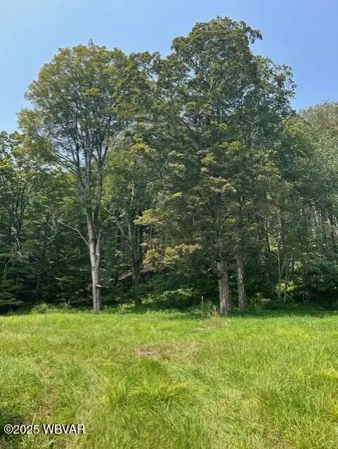 375 Allegheny Avenue, Eagles Mere, PA 17731 - Image #3