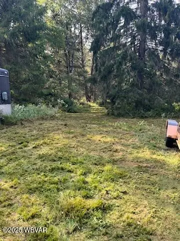 1050 Old Bernice Road, Mildred, PA 18632 - Image #1